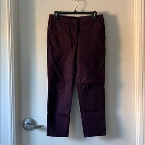 Halogen burgundy pants with navy blue polka dots